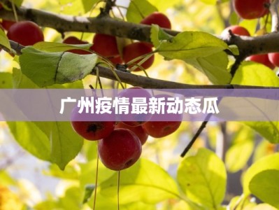 广州疫情最新动态瓜