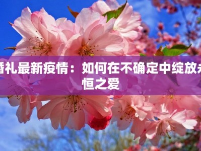 马云控制快递物流：从电商帝国到物流霸主的传奇之路