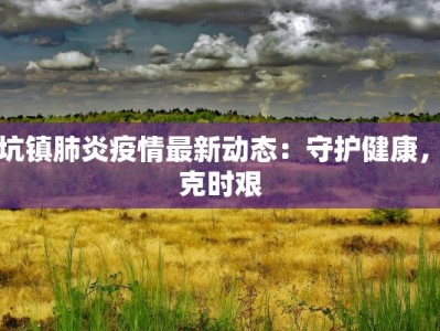 最新平原市疫情：科学防控，共筑健康防线