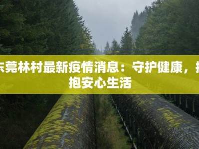 东莞林村最新疫情消息：守护健康，拥抱安心生活