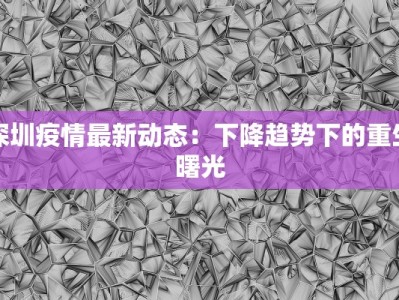 沈阳申通快递物流异常：解密背后的真相与应对之道