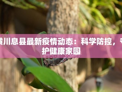 宁德各县最新疫情通报