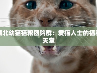 湖北幼猫猫粮团购群：爱猫人士的福利天堂