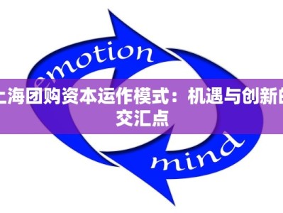 上海团购资本运作模式：机遇与创新的交汇点