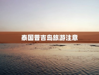 招商毕节美食：探秘黔西北的味蕾盛宴，投资机遇无限