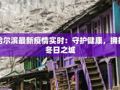 哈尔滨最新疫情实时：守护健康，拥抱冬日之城