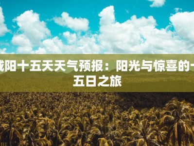 咸阳十五天天气预报：阳光与惊喜的十五日之旅