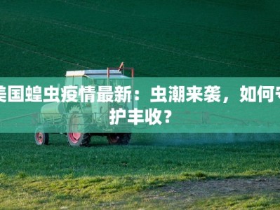 美国蝗虫疫情最新：虫潮来袭，如何守护丰收？