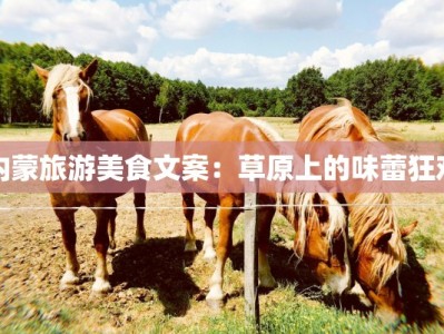 内蒙旅游美食文案：草原上的味蕾狂欢
