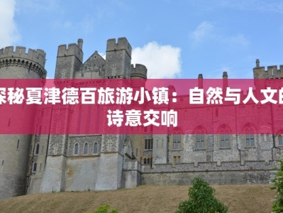 探秘夏津德百旅游小镇：自然与人文的诗意交响