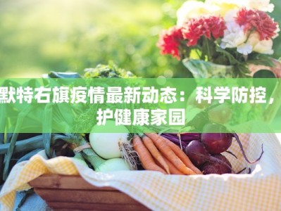 土默特右旗疫情最新动态：科学防控，守护健康家园