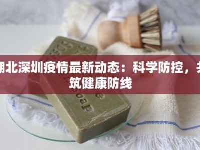 湖北深圳疫情最新动态：科学防控，共筑健康防线