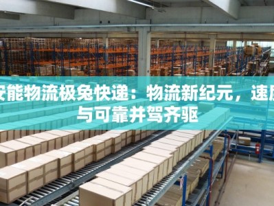 安能物流极兔快递：物流新纪元，速度与可靠并驾齐驱
