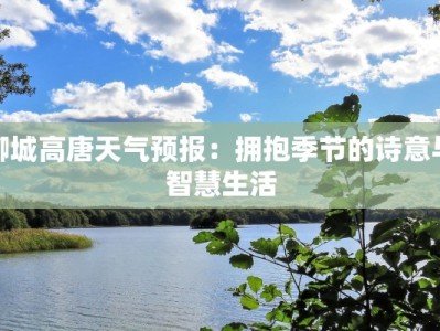 聊城高唐天气预报：拥抱季节的诗意与智慧生活