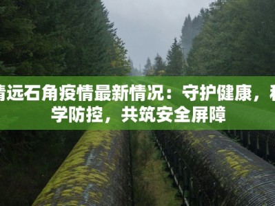 清远石角疫情最新情况：守护健康，科学防控，共筑安全屏障