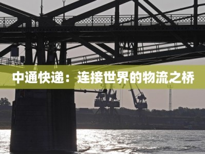 中通快递：连接世界的物流之桥