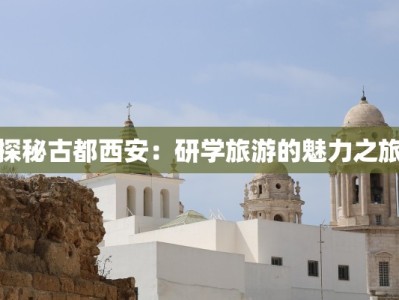 探秘古都西安：研学旅游的魅力之旅