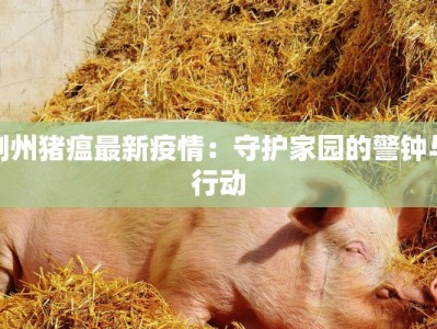 荆州猪瘟最新疫情：守护家园的警钟与行动