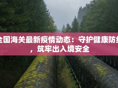 全国海关最新疫情动态：守护健康防线，筑牢出入境安全
