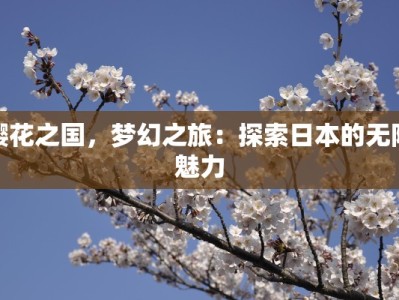 盐城物流快递分拣招聘：抓住机遇，开启你的物流新征程