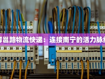柳邕路物流快递：连接南宁的活力脉络