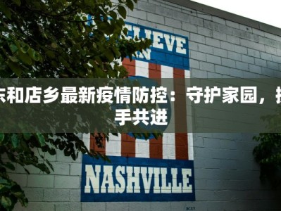 东和店乡最新疫情防控：守护家园，携手共进