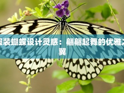 服装蝴蝶设计灵感：翩翩起舞的优雅之翼