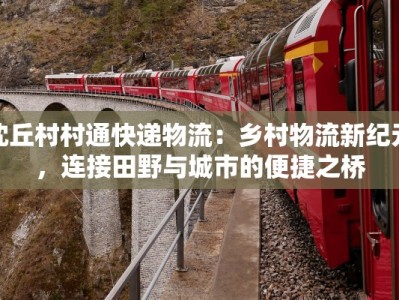 沈丘村村通快递物流：乡村物流新纪元，连接田野与城市的便捷之桥