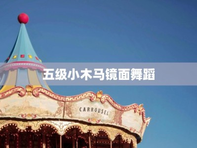 五级小木马镜面舞蹈