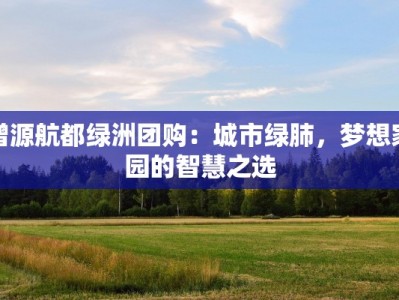 增源航都绿洲团购：城市绿肺，梦想家园的智慧之选