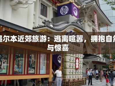 墨尔本近郊旅游：逃离喧嚣，拥抱自然与惊喜
