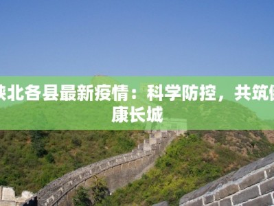 陕北各县最新疫情：科学防控，共筑健康长城
