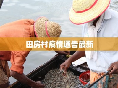 田房村疫情通告最新