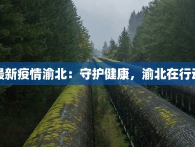 大雪快递物流异常：冰雪中的温暖守护