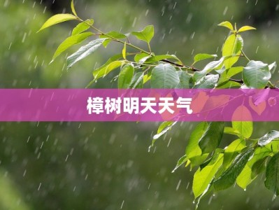 樟树明天天气