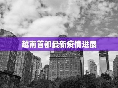 越南首都最新疫情进展