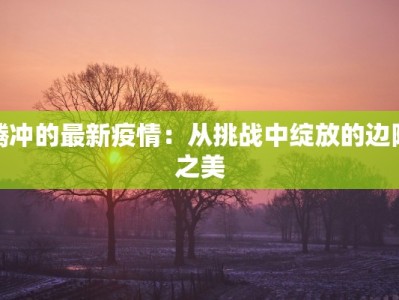 王城服装制版：匠心雕琢，时尚绽放