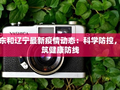 疫情江苏今天最新：守护健康，拥抱新生