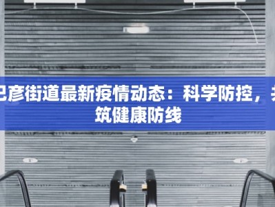 巴彦街道最新疫情动态：科学防控，共筑健康防线