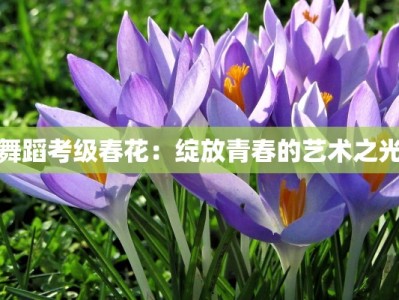 舞蹈考级春花：绽放青春的艺术之光