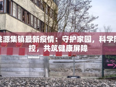 桃源集镇最新疫情：守护家园，科学防控，共筑健康屏障