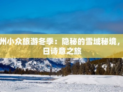 贵州小众旅游冬季：隐秘的雪域秘境，冬日诗意之旅