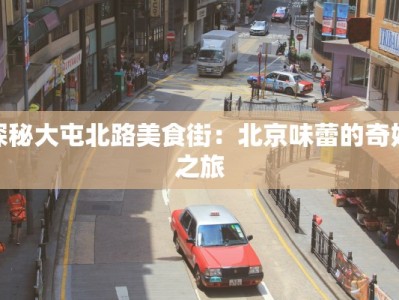探秘大屯北路美食街：北京味蕾的奇妙之旅