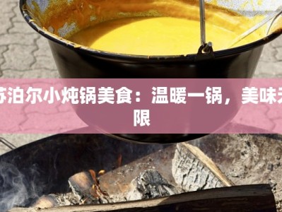 苏泊尔小炖锅美食：温暖一锅，美味无限
