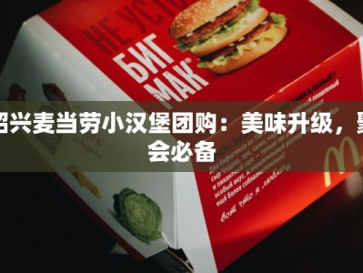 绍兴麦当劳小汉堡团购：美味升级，聚会必备