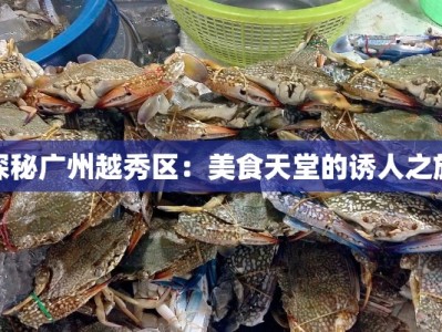 探秘广州越秀区：美食天堂的诱人之旅