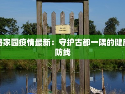 潘家园疫情最新：守护古都一隅的健康防线