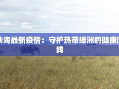 勐海最新疫情：守护热带绿洲的健康防线