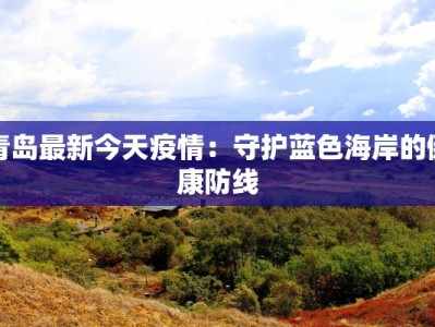 上河城区最新疫情报告