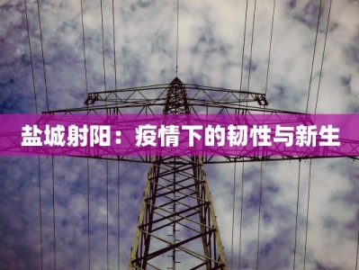 盐城射阳：疫情下的韧性与新生